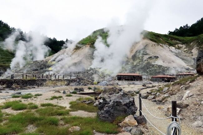 　ずっと来たかった玉川温泉。日本一酸性の強い温泉と聞いていたので、どんな所かなと思っていました。<br />　近くに別府の塚原温泉があって、こちらは酸性の強さは二番目ですが、規模が全く違っていました。塚原温泉はこじんまりとしていて、小さな湯船がある温泉なのに対して、玉川温泉は湯治の発祥地と言われるくらい「自炊棟」に数百人が宿泊して、中長期の湯治をされていました。<br />　台湾に行ったときに、北投石の話を聞かされましたが、現在では台湾の北投温泉と玉川温泉でしか取れないものだそうです。玉川温泉は採取禁止になっていました。そのモニュメントを自然探索路で発見！、台湾で聞いた癌が治るという話もまんざら嘘ではなかったような気になってきました。<br />　探索路の奥に広がる火山地形は、想像を絶するもので、そこにはラジウム線が出ている場所があります。そこで岩盤浴をすることによって癌に効くと言われるわけです。信じるか信じないか、何とも言えませんが、玉川温泉は旅館棟の宿泊は予約が取れるのに、自炊棟の宿泊は何ヶ月も待ちだそうです。なので、湯治客が全国からやって来ている証でもあります。<br /><br />　この辺りの火山の恵みは全国屈指のもので、いつもアスピーテラインを走る際に気になっていた大沼地熱発電所と八幡平ビジターセンターもゆっくり見学しました。