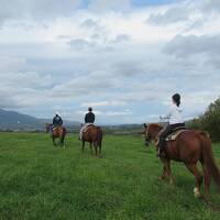 北海道ドライブ旅行(29)ニセコで乗馬