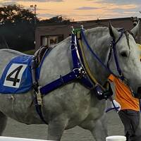 ばんえい競馬を見に　十勝の旅