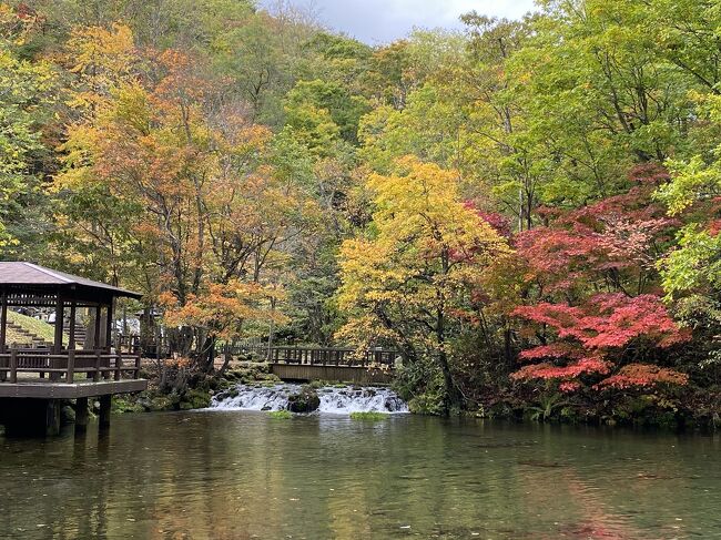 北海道ドライブ旅行(30)ニセコ観光