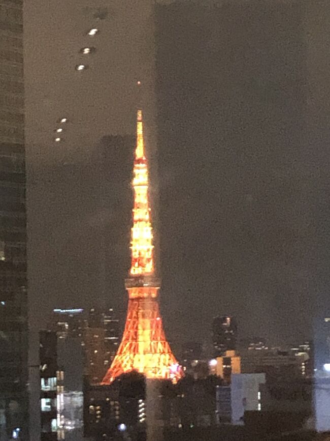22階の部屋。タワーマンションとは縁のない生活なんだけどこんな感じなんだ<br />ロビーからの夜景が素晴らしい