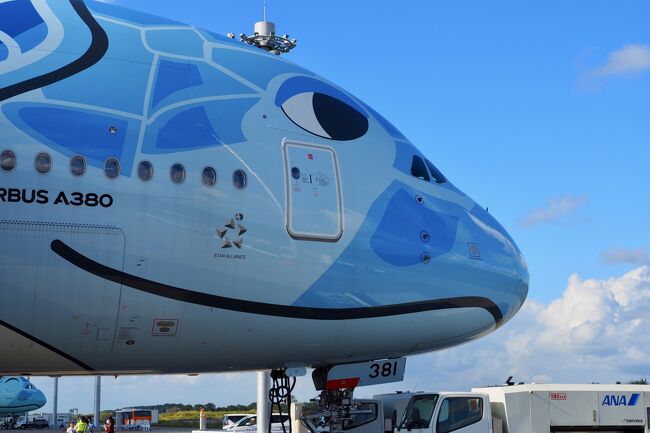以前から乗ってみたかった、ANAのハワイ路線専用の総2階建旅客機のエアバスA380型機「FLYING HONU(フライングホヌ)」!!<br />気軽にハワイに行けなくなってしまったこのご時世、国内での遊覧飛行ツアーはあるけど、なかなかの良い値段・・・<br /><br />そこで、比較的お手頃価格な「レストラン FLYING HONU」に参加することに!<br />しかもこのツアーは、機内食と機内見学で外装デザインの異なる1号機と2号機のホヌを1度に堪能できてしまうのです。<br /><br />今回は、食事も座席もちょっと贅沢気分が堪能できるプレミアムエコノミーを予約しました。<br /><br />機内食は、ハワイ路線専用のメニューを堪能し、機内見学では憧れのファーストクラスにもしっかりと座ってきました(笑)<br /><br />ANAの客室乗務員やスタッフの方もみんな気さくで、とても感じが良く、参加して大正解の充実の1日となりました。