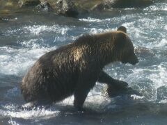 知床・根室2つの半島を訪ねる!大自然のひがし北海道　3泊4日（2日目）