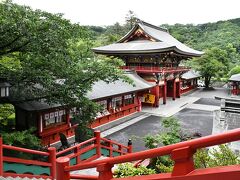 化け猫はいずこに消えたか　今キツネ　《　佐賀県・祐徳稲荷神社ほか　》