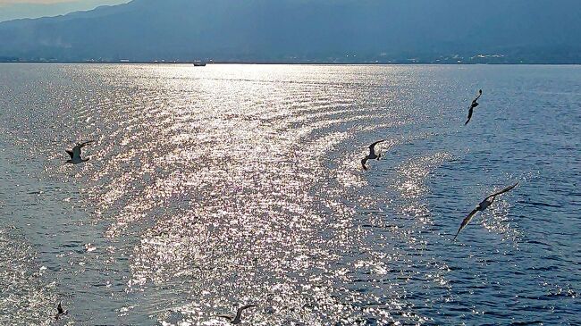 佐渡ブルーの海をウミネコと渡る～新潟 後編