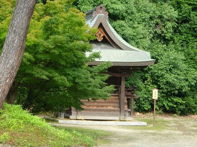 奈良の薬師寺に龍王社、若宮社という、大津皇子を祀る神社があると、いろいろな古代ブログに書いてあります。<br />薬師寺のホームページには、境内マップには記載されていますが、このお社の説明はありません。<br />行ってみました。<br /><br />六国史および参考書については、「六国史の旅　飛鳥の姉弟１　大津皇子訳語田邸」をご覧下さい。<br />https://4travel.jp/travelogue/11668009<br />引用に際し僭越ながら敬称を略させていただきます。<br />