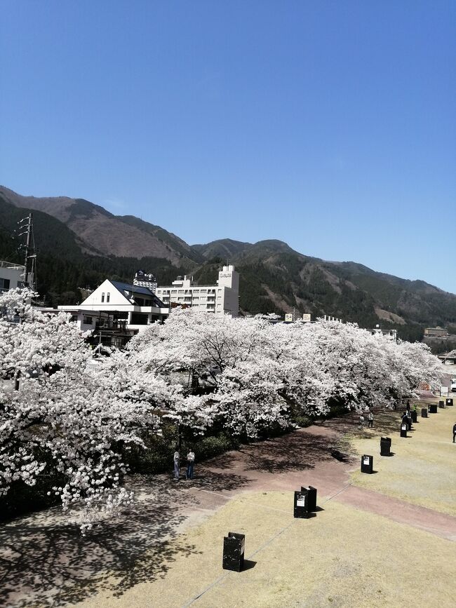 ３月に山中温泉へ行った時、往復の特急列車料金が青春１８切符と値段が変わらなかったので、せこく青春１８切符で行きました。<br /><br />残りの３枚をどうしようかな？<br />気候も良いし気の向くまま出かけて使ってしまおう！と思いました。<br /><br />さて、どこに行こうか？<br />青春１８きっぷで日帰り旅。<br />ぶらりと途中下車しながら下呂温泉まで行こうかな？<br />下呂なら青空フリーパスでも行けるから欲張って高山まで行っちゃえ！<br />高山本線の鈍行、旅情があって好きだし空いているし。<br />気の向くまま日帰りでお散歩してきました。<br /><br />自宅最寄り駅→上麻生駅<br />「ゆうゆう」でモーニング<br />ロックプラザ七宗に立ち寄り原木しいたけを買う<br /><br />上麻生駅→下呂<br />水明館で日帰り入浴＆前から行きたかったラウンジでお茶。<br /><br />下呂駅→高山駅<br />古い町並み界隈を散策し、こじゃれたカフェでお茶。<br />飛騨牛ステーキが安くなっていたから急遽夕飯も奮発し、帰路につく