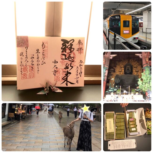 2021 遅い夏休み　3泊4日 京都・奈良・大阪の旅　二日目　近鉄特急＊日帰り奈良へ！   夕食は柿の葉寿司の食べ比べ 