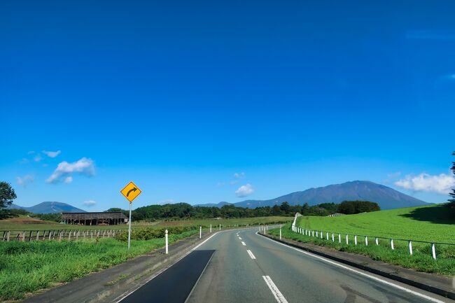 初めて岩手県を訪れてみました。<br />厳密にはスノボで雫石に行ったことがあるので、未踏の地ではないんだけど、刊行するのは初めて。<br />新幹線を利用して、土日でさくっと観光。<br />盛岡最大麺の制覇もミッションに加えて、東北の地を回ってみました。<br /><br /><br /><br />＜基本情報＞<br /><br />■新幹線<br />・JR東日本ダイナミックレールパック 20,500円<br />　（01）10/02 はやぶさ９号　 東京(08:40)⇒盛岡(10:55)<br />　（02）10/03 はやぶさ22号　盛岡(12:50)⇒東京(15:04)<br /><br />■宿泊<br />・ユニゾインエクスプレス盛岡<br />　1泊朝食なし （レールパックに込み）