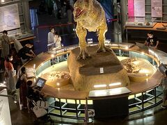 2021年10月北陸の旅　恐竜博物館、越前大仏、夕日の東尋坊、ランチは人気のパン屋さん
