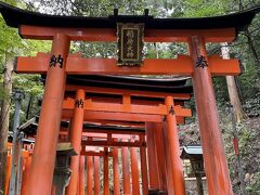 京都、上醍醐をお参りする旅