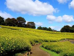 秋の公園散策と食を楽しむー昭和記念公園＆昭和の森車屋