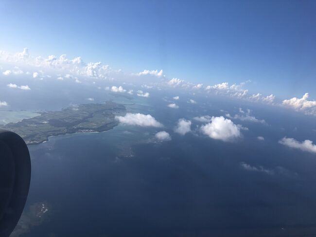 久しぶりの宮古島旅行でしたが最後までお付き合いいただきありがとうございました。<br />私にとっては10数年ぶりの第3の故郷への里帰りのようなもの、緊急事態宣言中とはいえ、主だった会いたかった人には会えました。<br />みなたくましく元気そうで、変わりゆく宮古を受け入れその中でアイディア出しつつ図太くありようとしていました。<br /><br />妻にも私が人生をかけて愛した島とそこで暮らす人たちの片りんを見せてあげられたのがよかったかもしれません。<br />宮古に行く前には家で私がしばしば宮古イントネーションでしゃべっていることがこれまであったのですが、妻にとっては私しか見たことがなく、何の真似かわからなかったはずなので、実際に行ってみて周り中がその喋りなわけで、あまりにもイントネーションの強い宮古訛りの人たちとつるんでいたせいで、つられて妻も奄美イントネーションが出てしまっていたのがほほえましかったです。