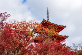 錦秋の京都 2020　清水寺  