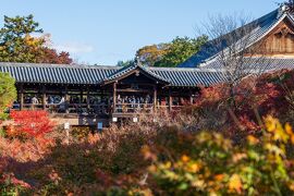 錦秋の京都 2020   東福寺　平等院　祇園