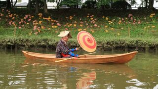 21 高浜市八反田公園の彼岸花 高浜 碧南 愛知県 の旅行記 ブログ By ３８うさぎさん フォートラベル