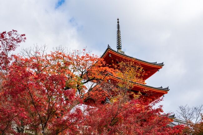 ホテルで朝食後、清水寺へ <br /><br />境内、東山周辺の紅葉は見頃でした。<br />運悪く、清水の舞台は工事中で、ロープが張られ立ち入り禁止でした。<br /><br />表紙の写真は、清水寺三重塔<br /><br /><br />ご注意 !!<br />旅行時期の入力を間違い、訂正を何度も試みましたが出来ません。<br />正しくは、2020年11月21日です。