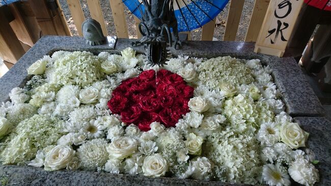 こんな時こそ花詣。花手水２１・北区、東区の神社へ。