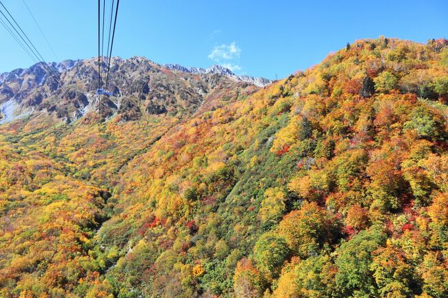 残暑厳しい折ですが、山では紅葉の盛りを告げています。<br />久し振りにアルペンルートに出かけました、幸いお天気も良さげです。<br />富山に２泊して松本に抜けるルートです。<br />室堂の紅葉は終わりかけでしたが、弥陀ヶ原・大観峰は素晴らしく極上の時間が過ごせました。<br />