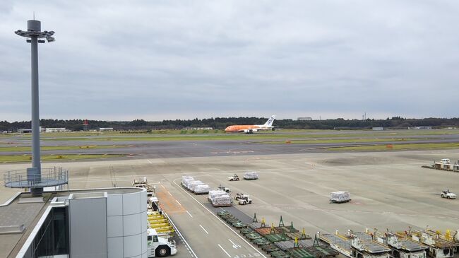 成田空港で「ANA フライング・ホヌ３号機」をみる☆