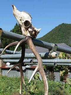 奥会津ブラブラ　～登山の前後に見た景色　檜枝岐村・南会津町～