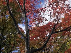 2021/10 土日で札幌へ　ちょっと早めの紅葉　北海道は寒かった！