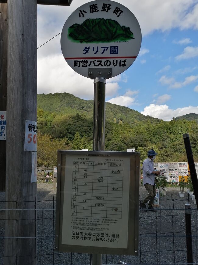 ９月から１１月までだけ開園している<br />小鹿野町のダリヤ園にドライブがてら、行って、<br />帰りに花園インターの道の駅で買い物してくるっていう、<br />なんてことない日帰りドライブです。<br /><br />朝起きてお天気だったので、<br />とりあえずキンパを２本作りました。<br />マンションの避難梯子の点検の人がくるひでしたが、<br />終わったのが１０時１５分、<br /><br />１０時半には家を出発しました。<br />花園インター経由２時間、<br />小鹿野町ダリヤ園には、１２時過ぎにつき、<br />１時間滞在、<br />帰りに花園インター道の駅（おすすめです）により、<br />買い物して、４時ころ帰宅しました。<br />