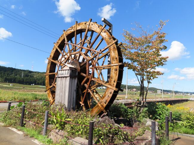 さすがウチ。<br />目が覚めたら青い空と明るい陽射し。<br />天気の回復が早まったようです。<br />さて、今日はどこを回って帰ろうかな。<br /><br />昨日行こうかと思っていた中之条ガーデンで秋バラを見て、赤城でお蕎麦か。<br />それとも北軽から浅間を通って軽井沢かな?でも、まだ紅葉には早いしな・・・。<br /><br />で、突然向かうことになったところはまさかの・・・。<br />それでは2日目です。よろしくお付き合いください。