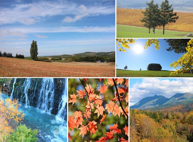 2021年10月(実際は9月29日と10月12日)、大雪山から始まった北海道の秋は麓の美瑛町までやってきました。夏の好天が嘘のように10月になってからはぐずついた天気となり、気温も下がり山や平地でも雪の便りが聞こえてきました。北海道の短い紅葉の時期を逃さないように天候を見計らい、少しだけ丘巡りをしてきました。ただ、紅葉前に霜が降りたため既に枯れた紅葉が多かったのですが、いつものスポットを廻る中で美瑛の秋を少しだけ紹介したいと思います。天候をみながら今回行くことができなかったスポットも後日廻りたいと思います。内容は完全に私の備忘録ですので、興味のある方は覗いてみてください。