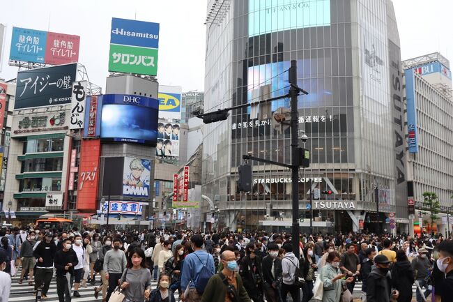 10月17日(日)、東京は朝から冷たい雨風のあいにくのお天気の中。この日は宅建士、土地家屋調査士、漢字検定、ビジネス会計検定など色々な資格試験が開催されていました。久しぶりに受検のため渋谷に出掛けました。