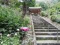 伊勢原の旅行記
