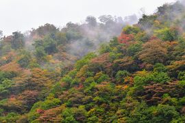 ないだて！秋の山形さ行ぐだ - 中編
