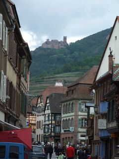 6.コウノトリの里と呼ばれている村を散策　リボーヴィレ　No5