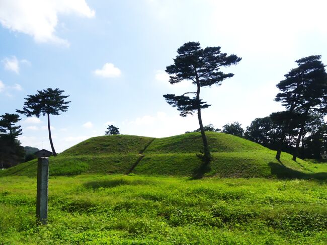 「”二子古墳”のある公園にコスモスが咲いてる」との情報で、前橋市の「大室公園」に行きました。”二子古墳”は、「前二子古墳」「中二子古墳」「後二子古墳」「小二子古墳」と、4つもありましたが、コスモスどころか花はどこにも咲いていませんでした。でも、ここには古墳の他に、一周1kmほどの「五料沼」、その周囲には起伏のある緑の丘、そして整備された遊歩道など、秋を楽しめるモノが揃っていました。<br /><br />後で調べたら、「前橋市」ではなくて「高崎市」の、「大室公園」ではなくて「上毛野はにわの里公園」に、「前、中、後、小 二子古墳」ではなくて「二子山古墳」があって、そこに、コスモスが咲いてるんだそうです。