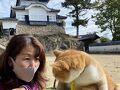 備中高梁の旅行記