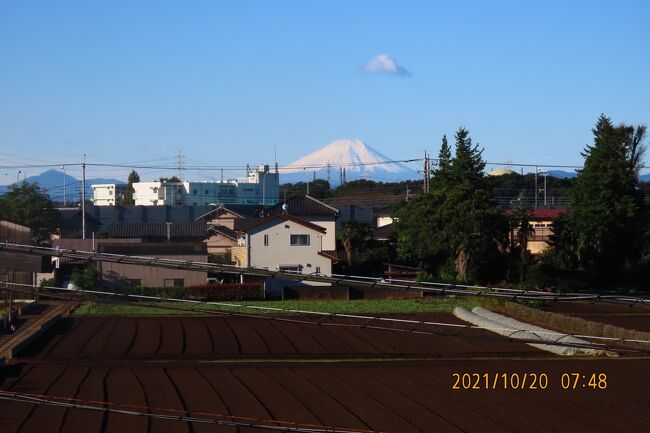 10月20日、午前7時50分頃にふじみ野市より、久しぶりの西高東低の気圧配置で澄み切った晴天に恵まれ、素晴らしい積雪した富士山が見られました。<br /><br /><br /><br /><br /><br /><br />*写真は素晴らしかった富士山