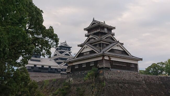 10月初旬に、熊本城周辺を早朝ランニングしました。熊本城の周辺は、神社に、公園、壮大な広場、立派な熊本城の石垣、櫓、天守、堀の景色を眺めながら優雅にランニング。<br /><br />1時間程度のランニングで、次のようにボリュームのある観光ポイントを回れました。<br /><br />05:55熊本県庁、<br />06:05水前寺江津湖公園、<br />06:20大甲橋、<br />06:25駕町通り、下通、<br />06:30熊本城稲荷神社、熊本大神宮、<br />06:40二の丸広場、<br />06:45北口券買所、宇土櫓、<br />06:50加藤神社、<br />07:00高橋公園<br /><br />