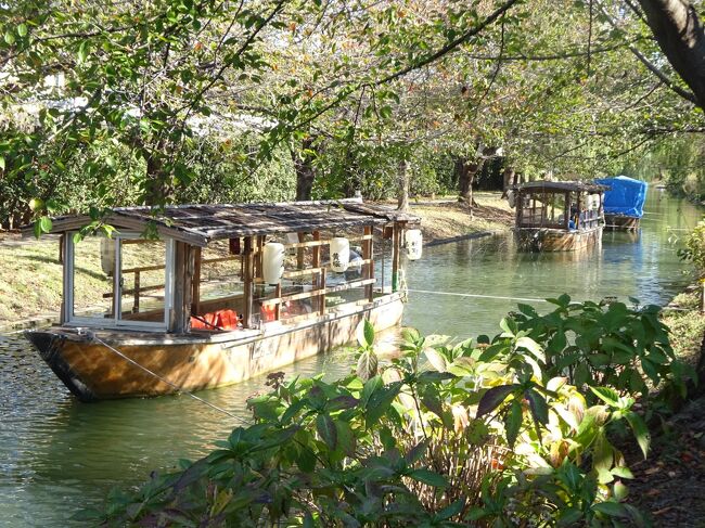 京都の旅･第6回目です｡阪急電車株主優待券を使用､寺院等の拝観はせず､ただ､歩き回ります｡醍醐(勧修寺 隋心寺 醍醐寺) 宇治(興聖寺 宇治上神社 萬福寺) 伏見(寺田屋 酒蔵 宇治川派流) 京都国際会館 相国寺等を回り､昼食は宇治の老舗茶屋｢通園茶屋｣で戴きました｡(地下鉄一日券800円) (写真は伏見の宇治川派流の十石舟です｡)<br />(醍醐)醍醐天皇や小野小町ゆかりの洛南の里で旧奈良街道沿いにあります｡<br />(宇治)｢茶の街｣で平安時代の建物が多くあり､源氏物語の舞台です｡<br />(伏見)重要な水路(千石舟)や酒蔵が並ぶ坂本龍馬のゆかりの地を <br />主として地下鉄と京阪電車で回ります｡<br />{旅程}<br />①2021年10月29日(金）<br />関西6:00(阪急)6:28十三6:33(阪急)7:15四条烏丸7:22(地下鉄烏丸線)7:25烏丸御池7:30(地下鉄東西線)7:51小野駅に着きます｡<br />1)醍醐(勧修寺900年創建 池泉舟遊式庭園 地蔵尊 山門 庫裡 仏光院)<br />隋心院(真言宗 小野小町の住居跡 文塚 長屋門 総門 薬医門 玄関 小野梅園 化粧井戸) 西方寺を通り<br />2)醍醐寺(874年弘法大師の孫弟子･聖宝の草庵で秀吉の花見で有名｡(上醍醐下醍醐に分かれ､総門 三宝院 唐門 仁王門 清瀧宮本殿･拝殿 金堂 五重塔 霊宝館)と無料区域を歩きます｡<br />醍醐9:35(地下鉄)9:40六地蔵9:47(京阪宇治線 JR)9:57宇治駅に着きます｡<br />3)宇治(宇治橋 参道 平等院表門(藤原道長の別荘 鳳凰堂(阿弥陀堂)) 橘橋 喜撰橋 塔ﾉ島 十三重石塔 中島橋 橘島 朝霧橋 宇治川 宇治川先陣ﾉ碑 亀石 東禅院と歩き､興聖寺(曹洞宗寺院(龍門 琴坂 山門 法堂) 観流橋を渡り､ <br />4)(宇治上神社)日本最古の神社建築 大鳥居 宇治神社(一･二ﾉ鳥居 拝殿 本殿) ｻﾜﾗﾋﾞﾉ道 立砂 拝殿 本殿(共に国宝) 桐原水 春日神社(重文) 与謝野晶子歌碑 ｶﾄﾘｯｸ教会 橘寺宝生院(山門 宝篋印塔 宇治橋断碑)と参拝し､<br />5)(昼食)通園茶屋(11:25-12:05)(1160年(平安時代)創業の老舗で現在は16代目 宮本武蔵も訪問 茶ｿﾊﾞ(大盛)1100円(店内に一休和尚作の初代通園の木造の像)を戴きます｡<br />京阪宇治12:11(京阪宇治線)12:15黄檗駅に着き､<br />萬福寺(禅宗黄檗山萬福寺(1678年開祖隠元禅師)総門 山門を参拝し､<br />黄檗12:32(京阪宇治線)12:47中書島駅に着き､<br />7)伏見(宇治川派流 寺田屋(坂本竜馬ﾉ定宿ﾉ舟宿) 長建寺(弁財天 閼伽水 ｶｴﾙ像) 十石舟 月桂冠大倉記念館(蔵) 竜馬通り商店街 黄桜記念館)を歩き､<br />京橋13:31(ﾊﾞｽ81 南5南3 )13:47竹田駅13:52(地下鉄)14:19国際会館に行き､京都国際会館 宝ｹ池公園 (江戸時代の人工池)岩倉川を歩き､<br />国際会館14:52(地下鉄)15:05今出川に行きます｡<br />8)相国寺(足利義満の建立 総門 勅使門 天界橋 法堂 方丈 浴室 法堂 鐘楼 経蔵)-同志社大(薩摩藩二本松邸跡)を見て､<br />今出川15:32(地下鉄)15:42四条烏丸15:52(阪急)16:29十三16:33(阪急)16:57関西と帰ります｡