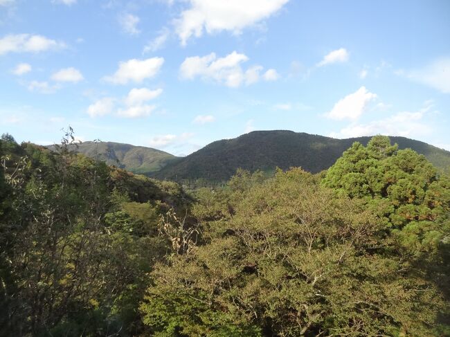 箱根思いつき温泉旅・その2.箱根宮ノ下温泉/四季倶楽部 ヴィラ箱根80に宿泊