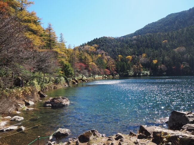 秋の八ヶ岳を歩いてきました。<br />蓼科山に近い大河原峠から歩くコースです。<br />大河原峠から蓼科山に登る人は多いようですが、亀甲池と双子池の周遊コースは少ないらしく、静かな自然を満喫できました。コースはもちろんラクチンコースです。<br /><br />暫く放置した旅行記、コメントは途中ですが記録としてアップしました。