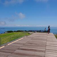 1泊2日 伊豆 (2-1) 小室山と城ヶ崎海岸の絶景で感動し、滝で癒れさました