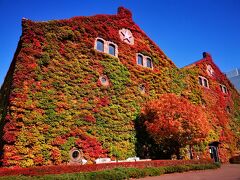 秋の札幌・支笏湖周辺散策