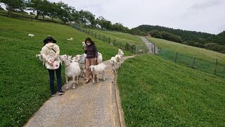 和田・丸山の旅行記