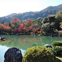 秋の京都・大阪（２）嵐山（竹林の小径、天龍寺）