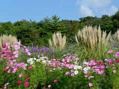 モリコロパーク（愛・地球博記念公園）に遊ぶ