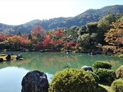 秋の京都・大阪（２）嵐山（竹林の小径、天龍寺）