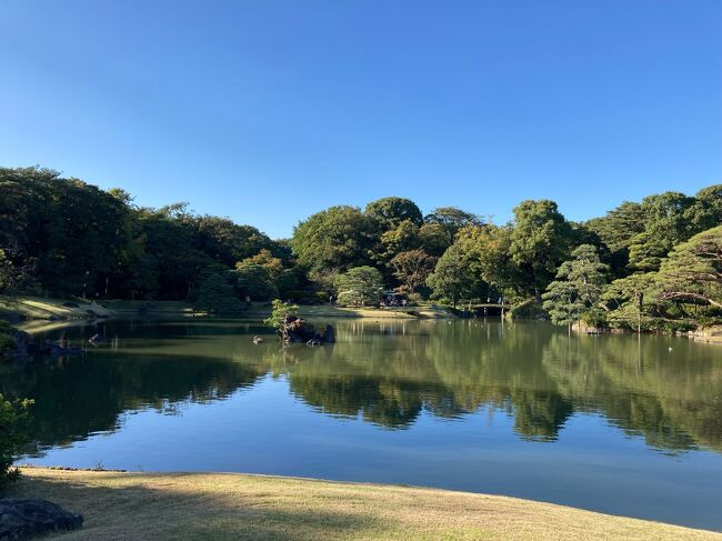 駒込に向け散歩中、造園当時から小石川後楽園とともに江戸の二大庭園に数えられていた六義園（りくぎえん）を散策することにしました。<br /><br />六義園<br />https://www.tokyo-park.or.jp/park/format/index031.html