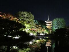 東寺で夜の紅葉　202011紅葉の京都と鹿の奈良①