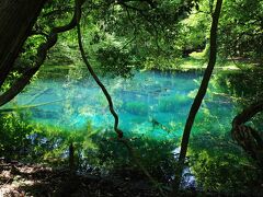 エメラルドグリーンの神秘の泉・丸池様
