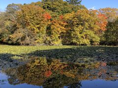 2021/10 秋の函館と大沼公園　お天気に恵まれました♪